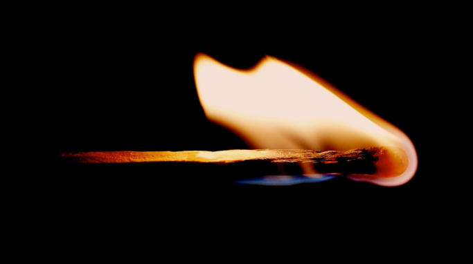 In the Context of Immunity, Inflammation Is Not the Enemy