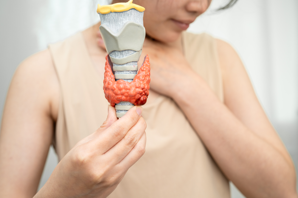 Hypothyroidism: Understanding the Master Regulator of the Body