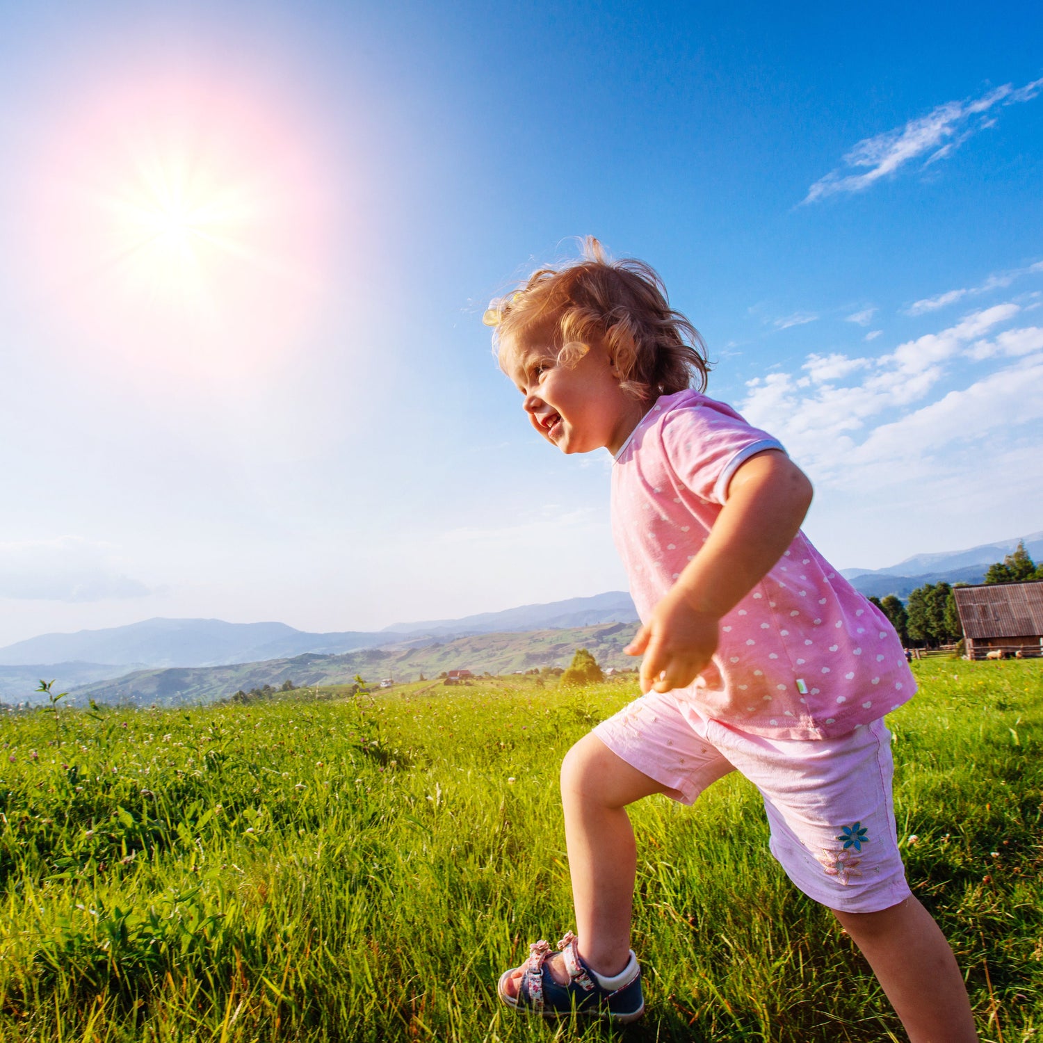 Vitamin D, Sunscreen Use and Skin Damage